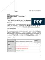 MODELO DE Informe Originalidad - Autenticidad Perfil TFG