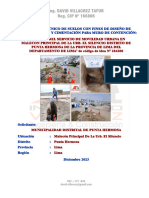 01 Informe - ITS - PavimentaciónMuroContención - PuntaHermosa - Ing - DavidVillacrez2