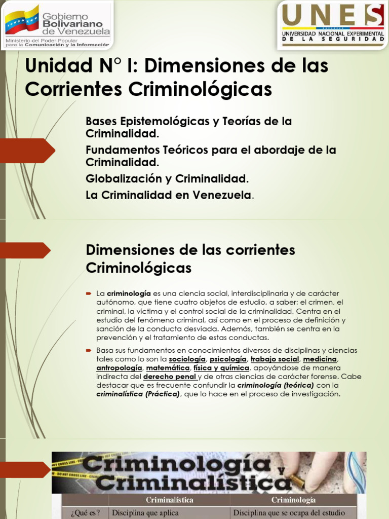 Unidad N°I ESTRATEGIAS DE PREVENCIÓN DEL DELITO | PDF | Criminología ...