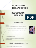 SM 10 - Patología Del Cordón y Del Líquido Amniótico