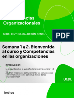 Presentación 2 Competencias Organizacionales