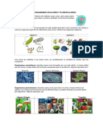 Organismos Unicelulares y Pluricelulares