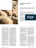 Comunitarismo Agro-Pastoril: Um Estudo Etnografico