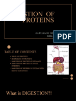 Digestion of Proteins - 20240118 - 205954 - 0000