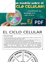 Proyecto Sobre El Ciclo Celular