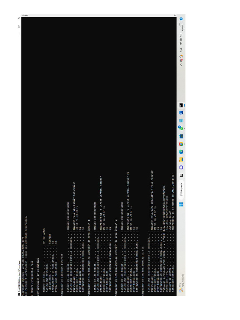 Ip Config | PDF