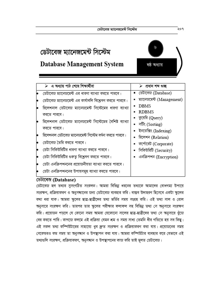 CH 6 Database Management System | PDF | Data Model | Information Management