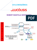 Bioca Sem 2 Glucólisis