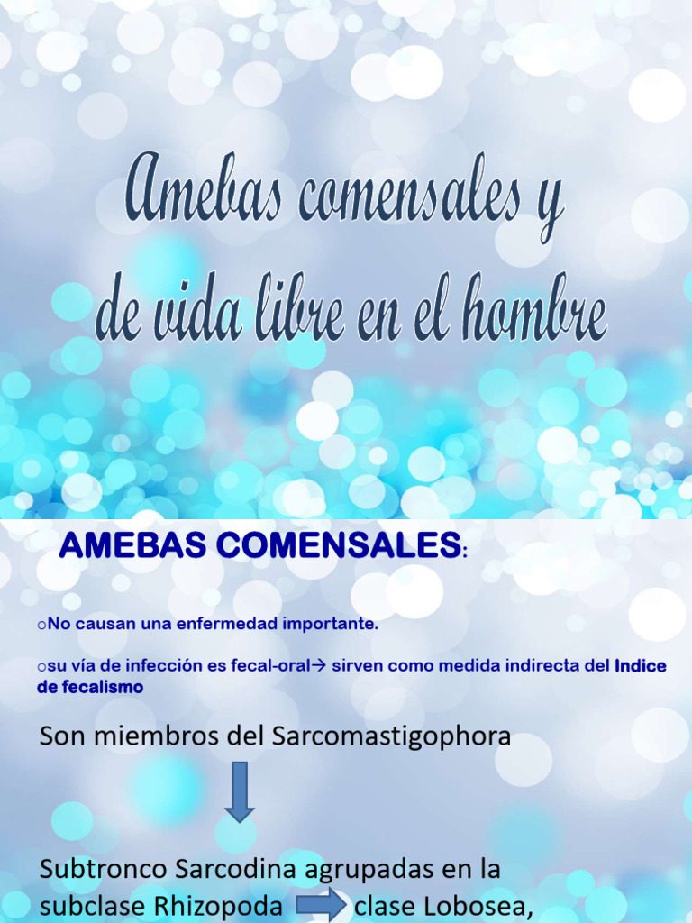 Amebas: Comensales y de Vida Libre | PDF | Ciencia y matemáticas