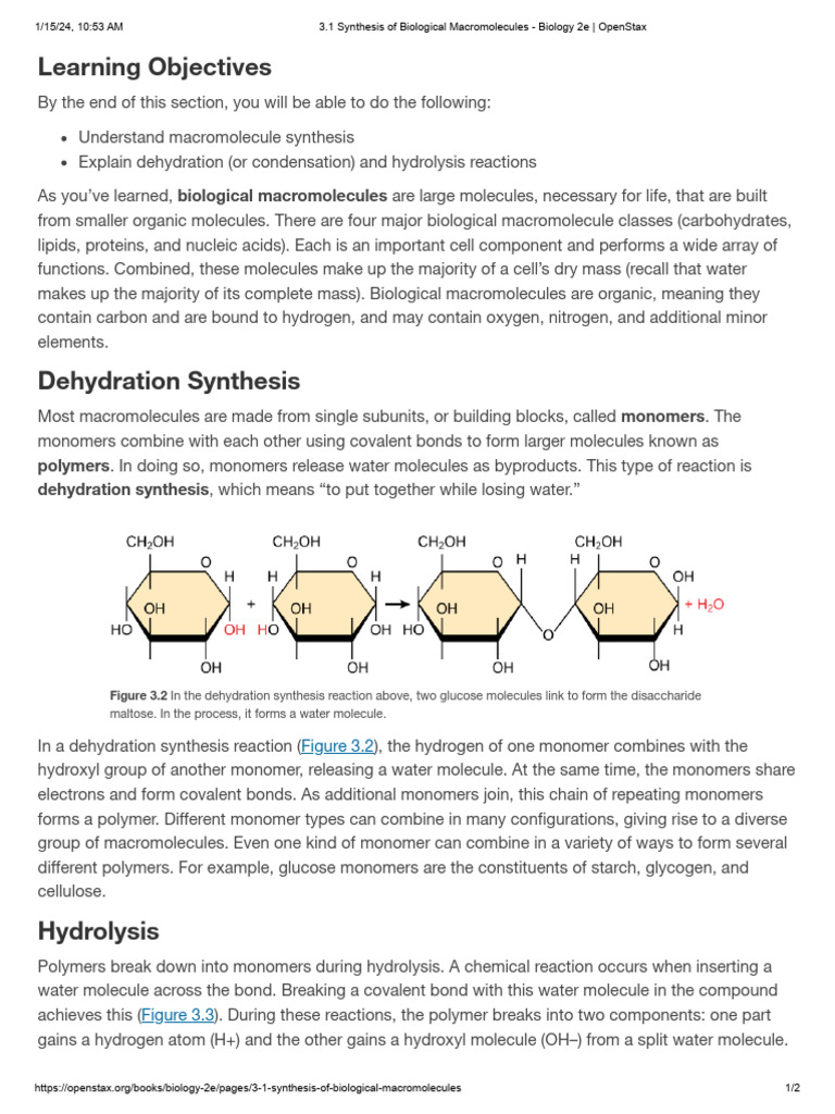 3.1 Synthesis of Biological Macromolecules Biology 2e OpenStax PDF