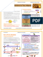 Fiche Métabolisme Du Tissu Adipeux