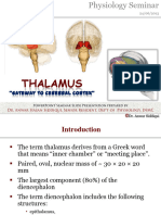 Thalamus 130624023852 Phpapp02