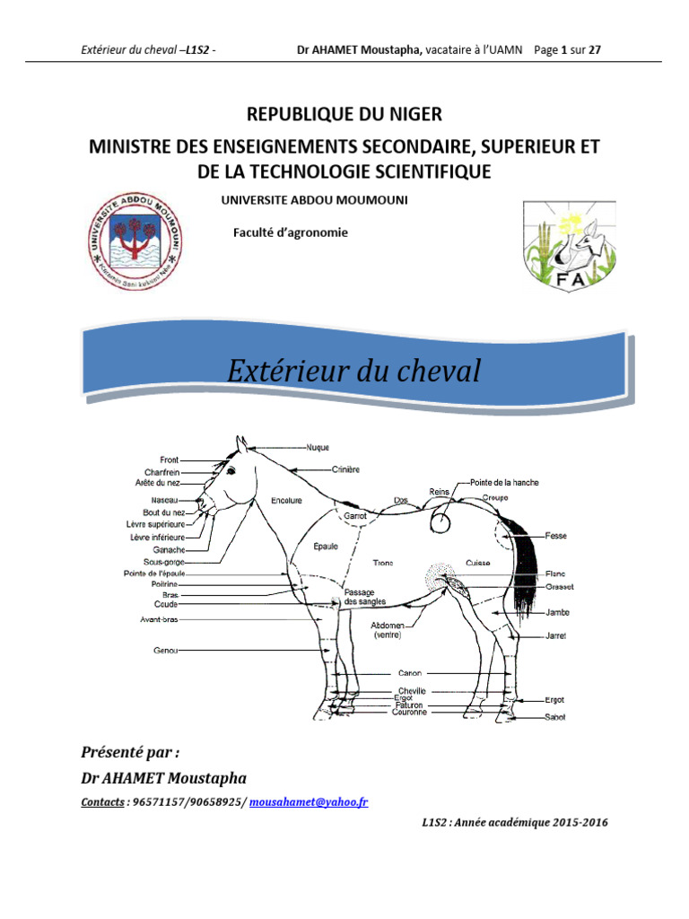 Anatomie et Extérieur du Cheval | PDF | Équidés | Equus (genre)
