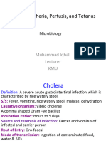 13) Cholera, D, P, T