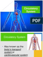 Circulatory System