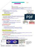 12-Variations Génétiques Polymorphisme Et Mutation N.M