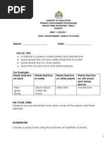 Grade 3 Science Weeks 1-4 Worksheets - Term 2