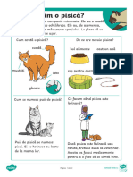 Ds 1643043346 Cum Ingrijim o Pisica Fisa de Lucru - Ver - 1