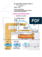 Medicaţia Aparatului Cardiovascular