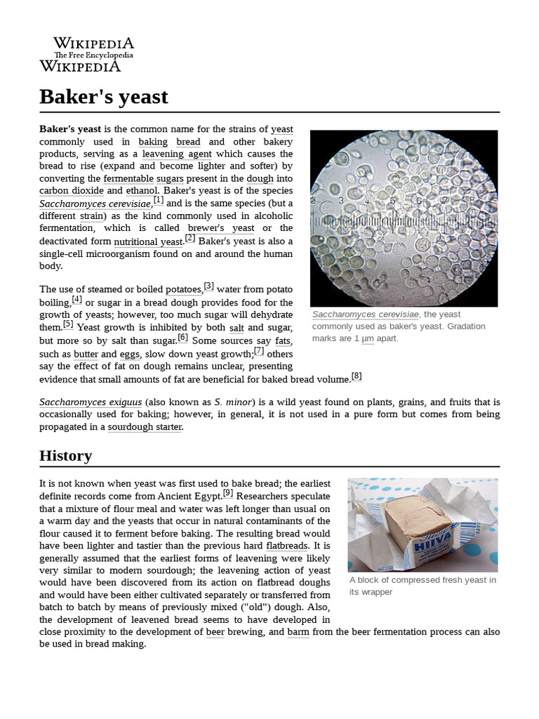 Baker's Yeast PDF Yeast Food And Drink Preparation