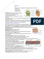 Chapter 2 - Cell Membranes