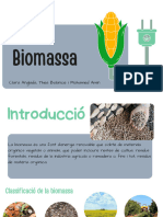 Biomassa