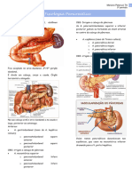 Fisiologia Pancreática