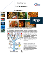 WP Contentuploads201111cours Biologie Marine Bryozoaires Ligne PDF