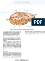 Snell's Clinical Neuroanatomy 8th Ed-1 - 4 (01-20) (1) .En - Id-11-20 Id