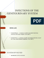 VIRAL INFECTIONS OF THE GENITOURINARY SYSTEM Sayen