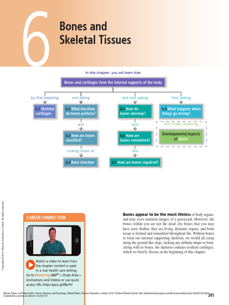 HUMAN ANATOMY MCGRAW HILL 6TH EDITION intelligence overview