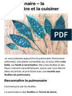 La Pulmonaire - La Reconnaître Et La Cuisiner - Plantes Sauvages Comestibles