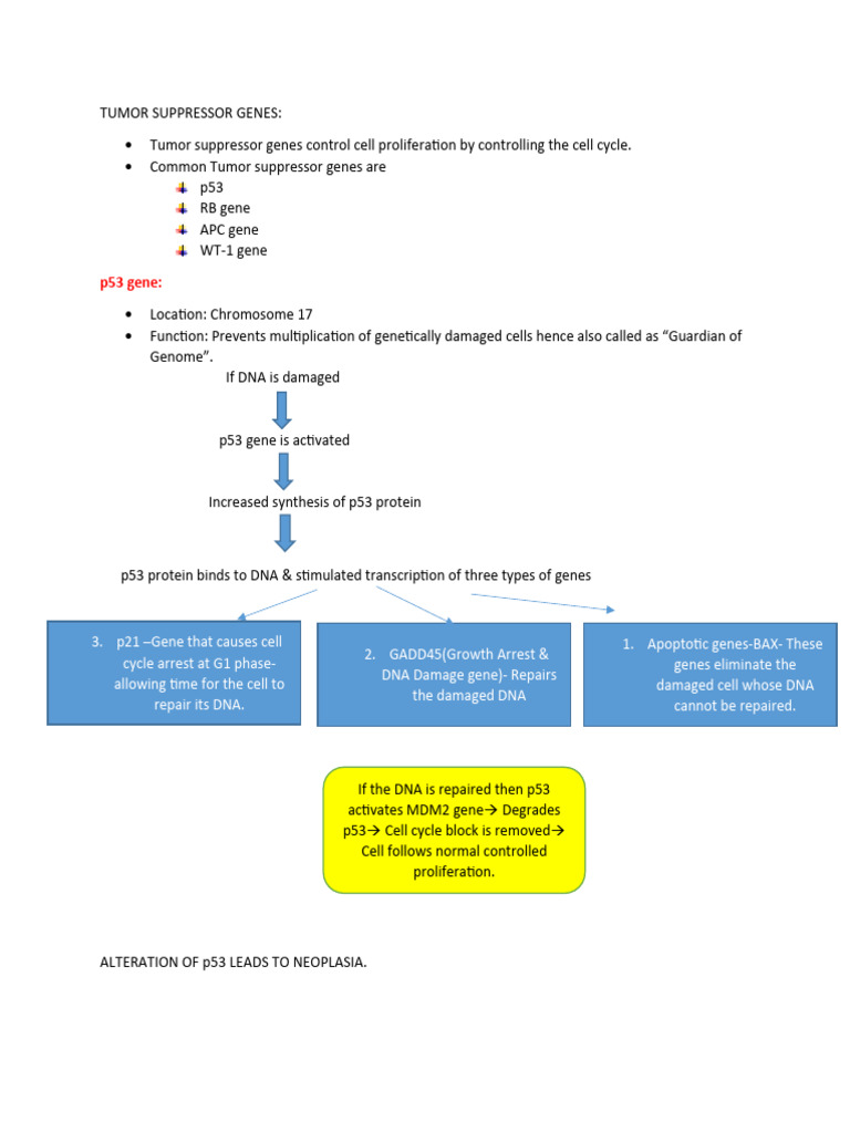 Overview of Tumor Suppressor Genes | PDF