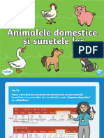 Animalele Domestice Si Sunetele Lor