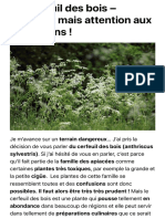 Le Cerfeuil Des Bois - Délicieux Mais Attention Aux Confusions ! - Plantes Sauvages Comestibles