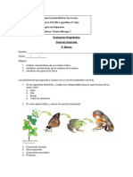 5° - Evaluación Diagnóstica Ciencias Naturales