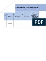 2024 Formato CAGLM, CARACTERIZACIÓN DE PROMOTORAS