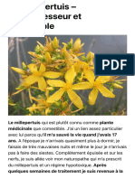 Le Millepertuis - Antidépresseur Et Comestible - Plantes Sauvages Comestibles