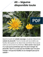 Le Pissenlit - Légume Sauvage Disponible Toute L'année - Plantes Sauvages Comestibles