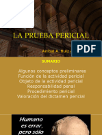 Prueba CPC - Pericial (Presentación) - Ruiz