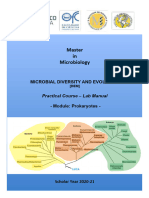 DEM Practical Course - Lab Manual