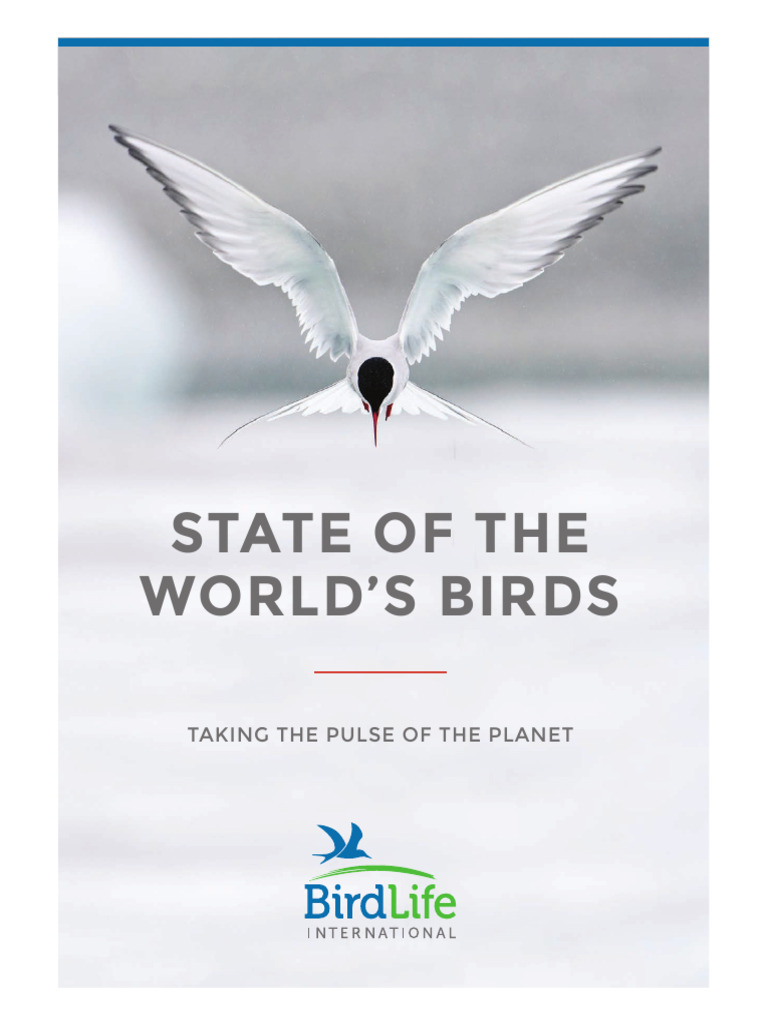 Birds | PDF | Conservation Biology | Biodiversity