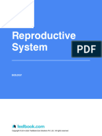 Reproductive System - Study Notes