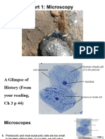 BIO 230 CH 3 I Microscopy - Tagged
