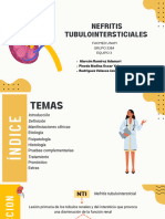 Nefritis Tubulointersticiales