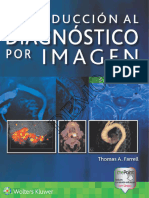 Introducción Al Diagnóstico Por Imagen - Smith 5ta Ed