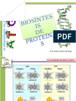 Biosintesis de Proteinas 