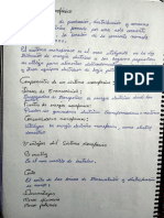 Trabajo de ACEII Ronald Nhilton