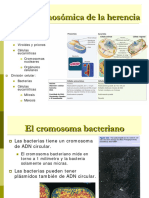Tema 2 Base Cromosómica de La Herencia 2023