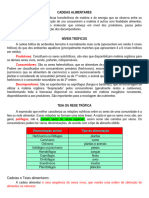 Ecologia - Cadeias e Teias Alimentares. - Cópia